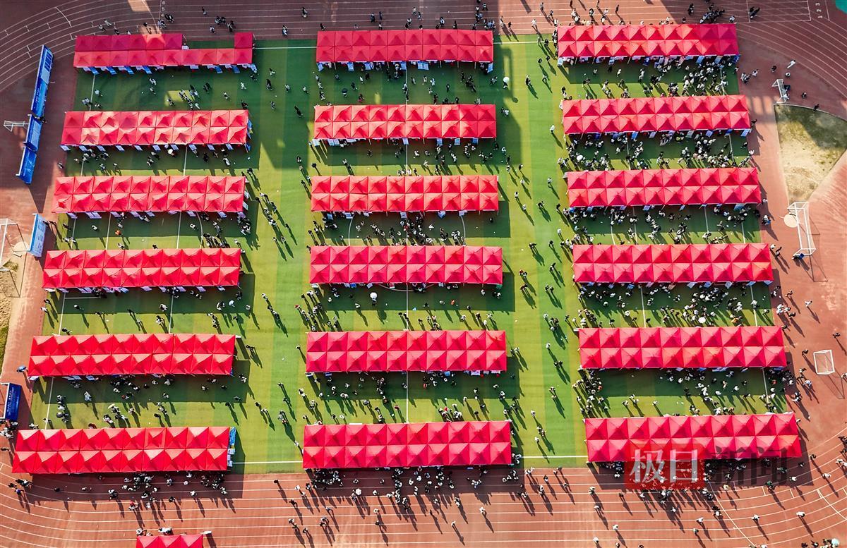 招聘现场。通讯员 李周阳 摄.jpg